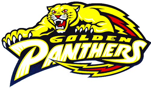 FIU Panthers 1994-2000 Primary Logo t shirts iron on transfers